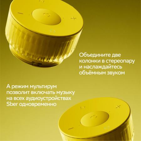 Беспроводные и портативные колонки Sber SberBoom Mini 2 (неоновый серый) [SBDV-00250G]
