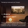 Телевизоры Яндекс ТВ Станция Бейсик с Алисой 50 YNDX-00075 [YNDX-00075, 4670028541548]