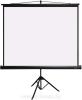 Проекционные экраны CACTUS FloorCompactExpert 68x120 CS-PSFLCE-120X68 [CS-PSFLCE-120X68]