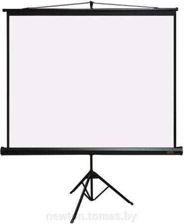 Проекционные экраны CACTUS FloorCompactExpert 68x120 CS-PSFLCE-120X68 [CS-PSFLCE-120X68]