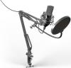 Микрофоны Ritmix RDM-169 [RDM-169 Black]