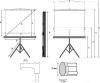 Проекционные экраны Lumien Eco View (LEV-100101)