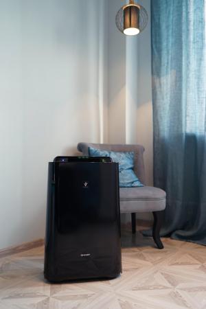 Очистители и мойки воздуха Sharp KC-D41RB