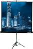 Проекционные экраны Lumien Master View 244x244 (LMV-100105)