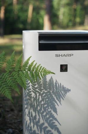Очистители и мойки воздуха Sharp KC-G41RW