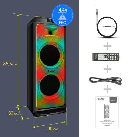 Беспроводные и портативные колонки Ginzzu GM-205