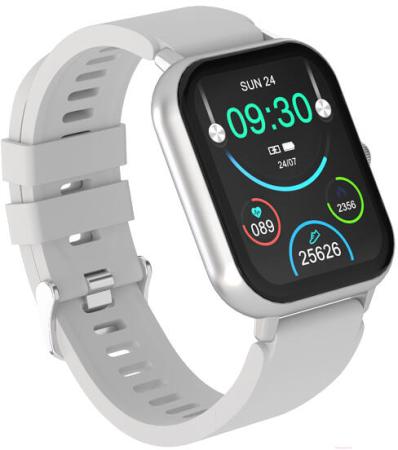 Умные часы и браслеты Maxvi SW-02 (серый)