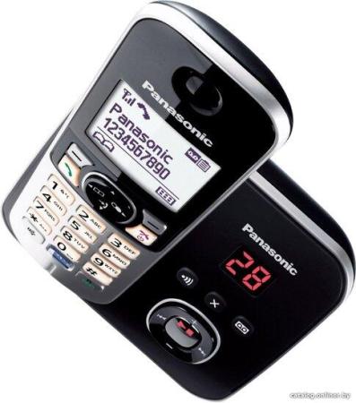 Радиотелефоны DECT Panasonic KX-TG6821RUB