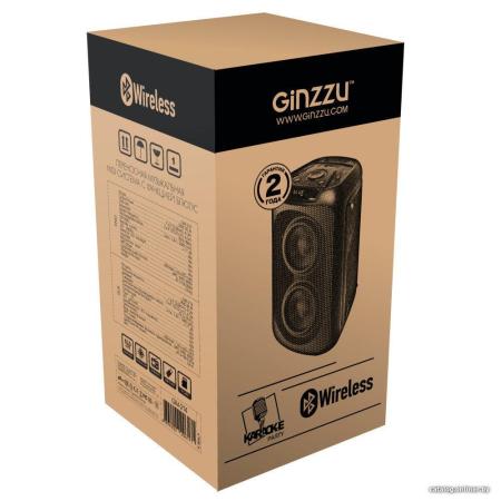 Беспроводные и портативные колонки Ginzzu GM-214