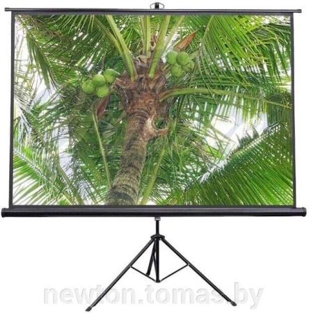 Проекционные экраны CACTUS FloorCompactExpert 68x120 CS-PSFLCE-120X68 [CS-PSFLCE-120X68]