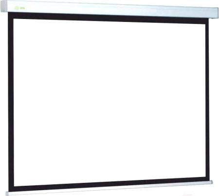 Проекционные экраны CACTUS Motoscreen CS-PSM-124x221 [CS-PSM-124x221]