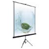 Проекционные экраны Lumien Eco View (LEV-100102)