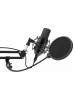Микрофоны Ritmix RDM-169 [RDM-169 Black]