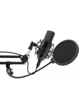Микрофоны Ritmix RDM-169 [RDM-169 Black]