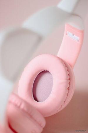 Наушники и гарнитуры Miru Cat EP-W10 (розовый) [W101]