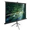 Проекционные экраны CACTUS TriExpert 200x200 CS-PSTE-200х200-BK [CS-PSTE-200х200-BK]
