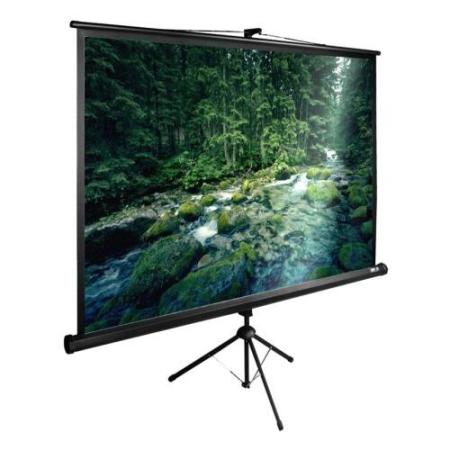 Проекционные экраны CACTUS TriExpert 200x200 CS-PSTE-200х200-BK [CS-PSTE-200х200-BK]
