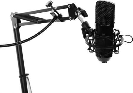 Микрофоны Ritmix RDM-169 [RDM-169 Black]