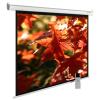 Проекционные экраны CACTUS SIlverMotoExpert 150x200 CS-PSSME-200X150-WT [CS-PSSME-200X150-WT]