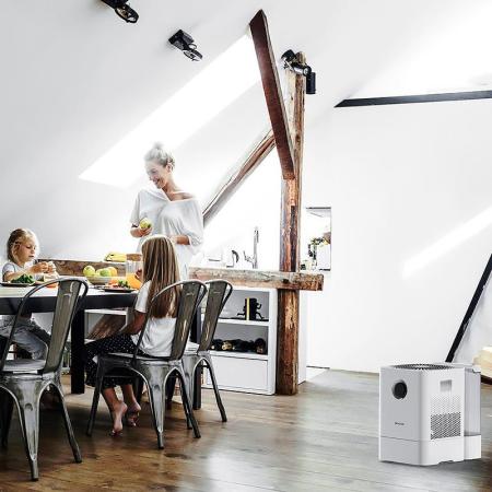 Очистители и мойки воздуха Boneco Air-O-Swiss W300
