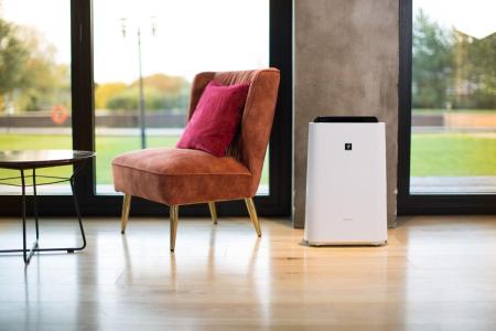 Очистители и мойки воздуха Sharp KC-D51RW