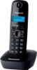 Радиотелефоны DECT Panasonic KX-TGC310UC2