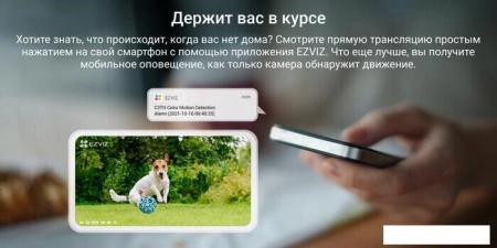 IP-камеры TP-Link Tapo C500