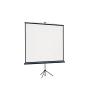 Проекционные экраны Lumien Eco View (LEV-100101)