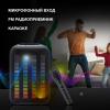 Беспроводные и портативные колонки Hyundai H-MC1204 [H-MC1204, 1902094]