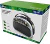 Радиоприемники Ritmix RPR-040 (белый)
