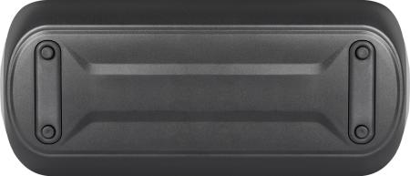 Беспроводные и портативные колонки Defender Enjoy S1000 (черный) [65688]