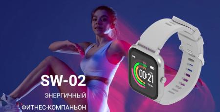 Умные часы и браслеты Maxvi SW-02 (серый)