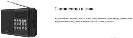 Радиоприемники Ritmix RPR-001 (черный) [RPR-001]