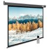 Проекционные экраны CACTUS SIlverMotoExpert 188x300 CS-PSSME-300X188-DG [CS-PSSME-300X188-DG]