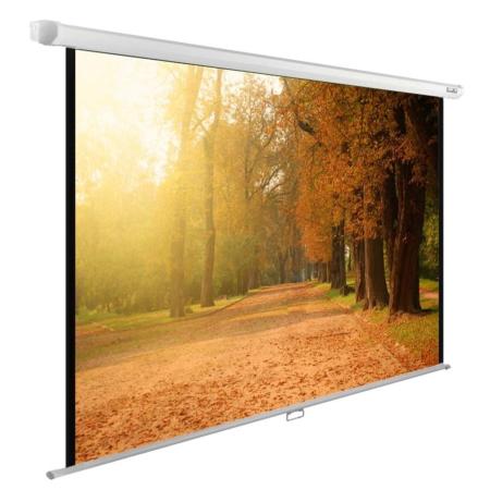 Проекционные экраны CACTUS WallExpert 200x125 CS-PSWE-200x125-WT [CS-PSWE-200x125-WT]