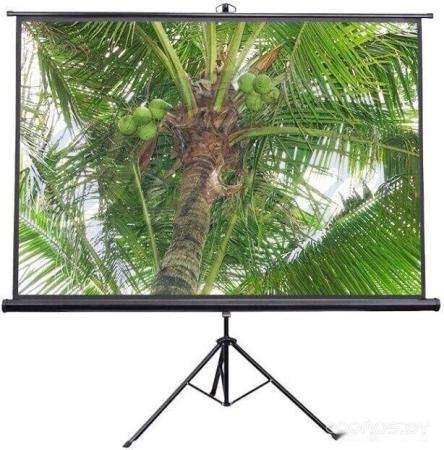 Проекционные экраны Future Vision Tripod 200x200 T200SMW [T200SMW]