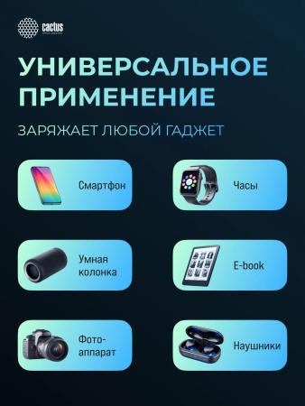 Портативные зарядные устройства CACTUS CS-PBFSFA-20000 20000mAh (серый) [CS-PBFSFA-20000, 4670089336237]