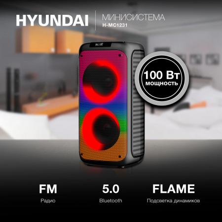 Беспроводные и портативные колонки Hyundai H-MC1231 [H-MC1231, 1824738]