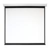 Проекционные экраны Digis Electra-F 308x230 DSEF-4305 [DSEF-4305]