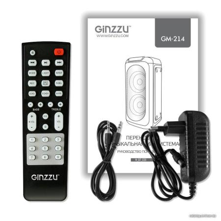 Беспроводные и портативные колонки Ginzzu GM-214