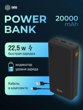 Портативные зарядные устройства CACTUS CS-PBFSDA-20000 20000mAh (черный) [CS-PBFSDA-20000, 4670089336213]