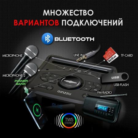 Беспроводные и портативные колонки Ginzzu GM-205
