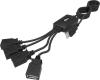 USB-хабы и док-станции Ritmix CR-2405 [CR-2405 Black]