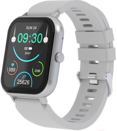 Умные часы и браслеты Maxvi SW-02 (серый)