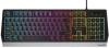 Клавиатуры Genesis Thor 380 RGB (нет кириллицы) [NKG-1725, 5901969426953]