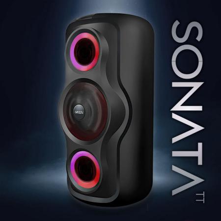 Беспроводные и портативные колонки Ginzzu GM-233