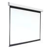 Проекционные экраны Digis Electra-F 308x230 DSEF-4305 [DSEF-4305]