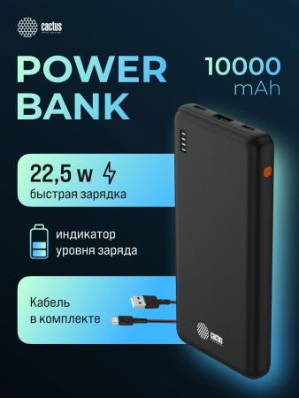 Портативные зарядные устройства CACTUS CS-PBFSAA-10000 10000mAh (черный) [CS-PBFSAA-10000, 4670089336183]