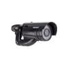 IP-камеры Rexant 45-0250