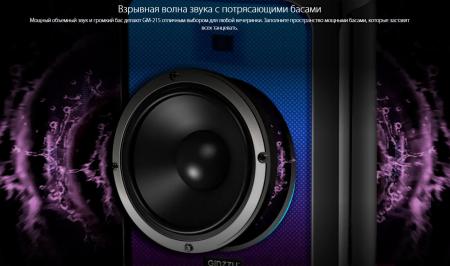 Беспроводные и портативные колонки Ginzzu GM-215